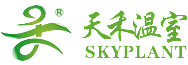 俄罗斯专享会294