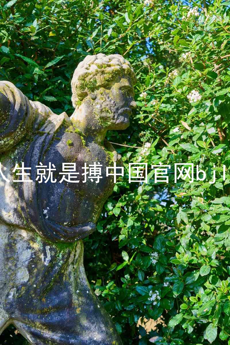 人生就是搏中国官网bjl8